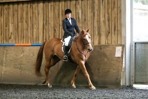 Isis Dressage Crown Farm Show 29th April 2012